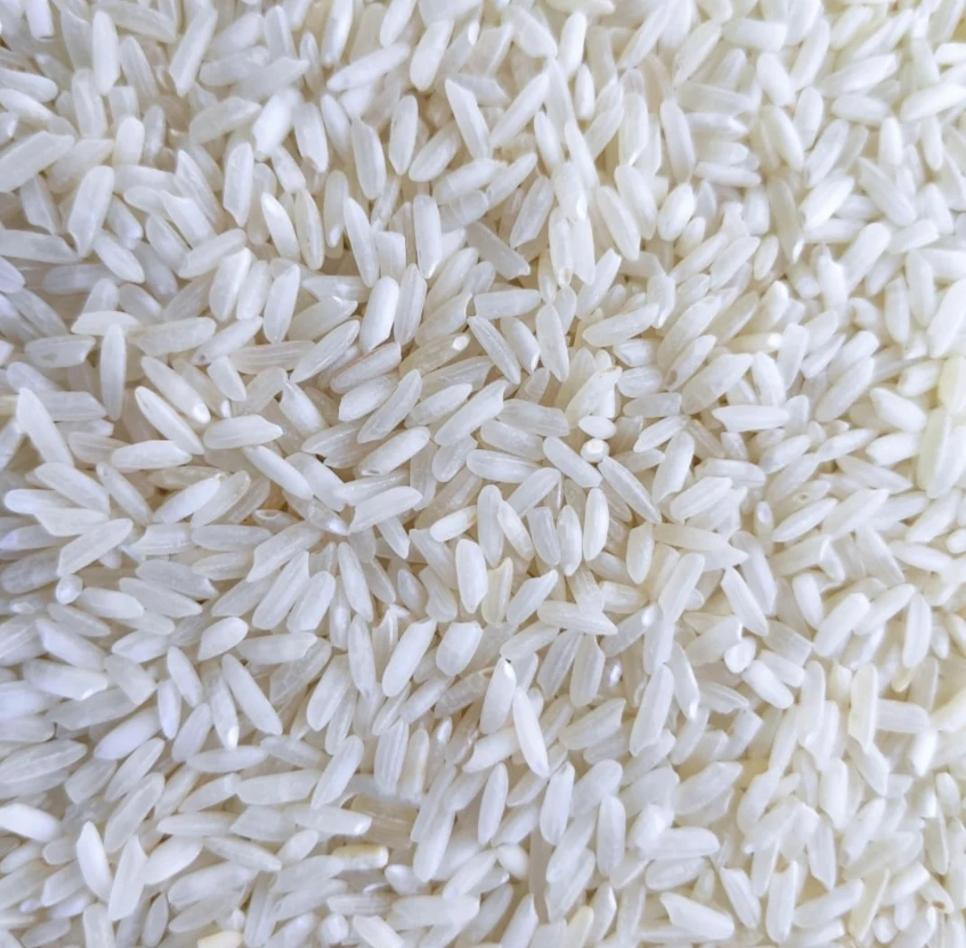 
IR 64 Non Basmati Rice 5 % Broken Short Grain From India 