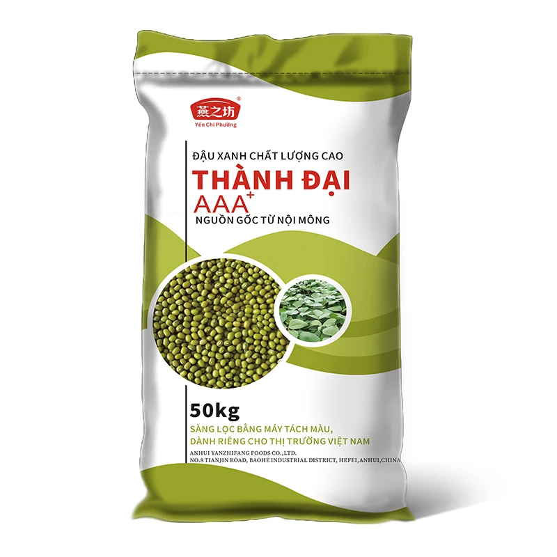 Wholesale Small Green Gram Vigna Myanmar Beans Mung Beans export mung bean