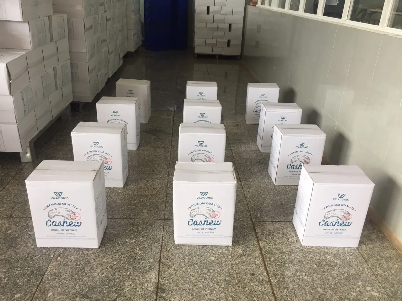 
Premium Grade Raw Cashew Nuts for Sale at Best Price Available 