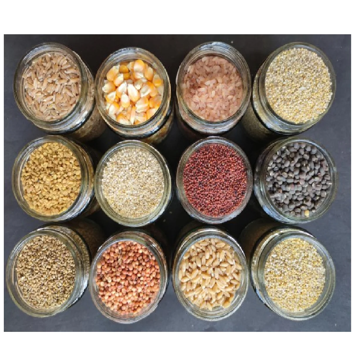 Indian little millets WHEAT wholesale high quality indian exporters bulk fresh best price