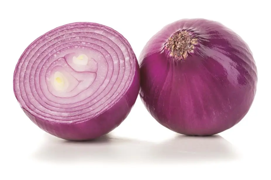 red onion.jpg