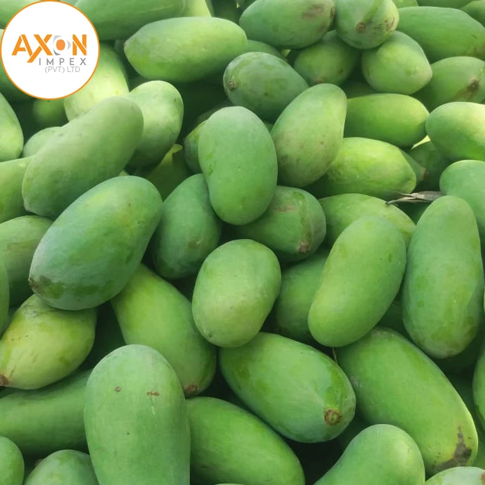 Fresh Green Mango From Vietnam
