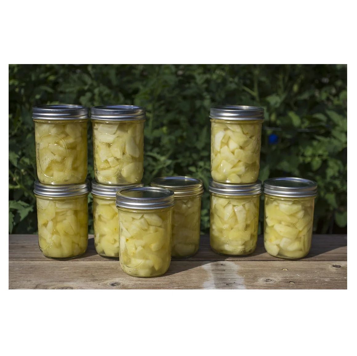 
canned apple in syrup Wholesale supplier 100% High quality cheap rate Bulk Quantity 