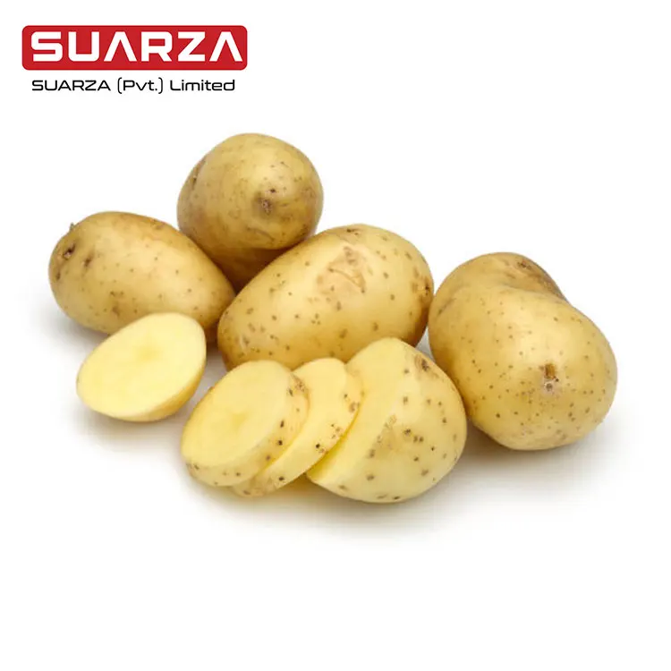 Fresh Mozika Potato Special for Industrial Chips