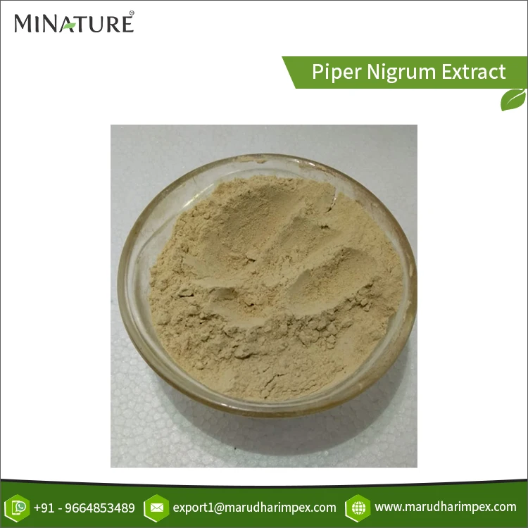Best Indian Manufacturer Globally Selling Pure 100% Natural & Organic Piper Nigrum Extract Herbal Powder for Wholesale