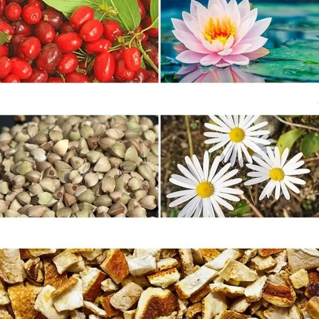 [the SAEM] Sooyeran Wild Ginseng Capsule Cream Korean skincare