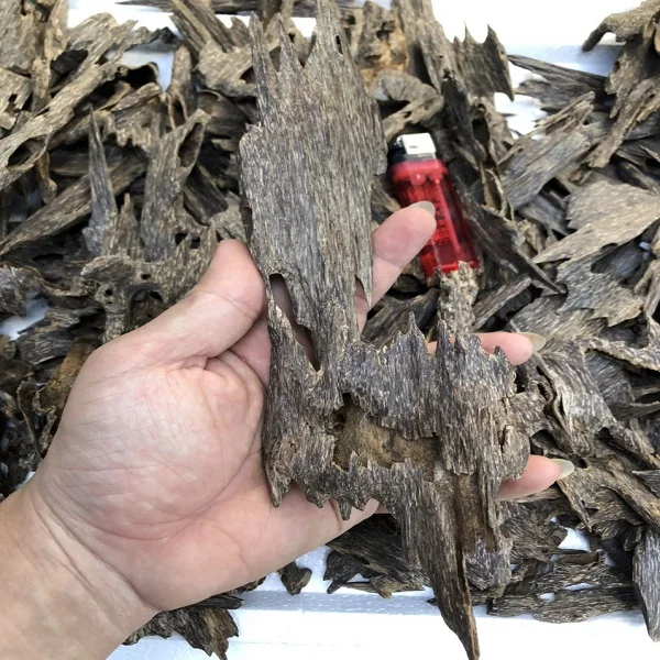 HIGH- CLASS SWEET CAMBODIA OUD VIP QUALITY FOR USING DAILY