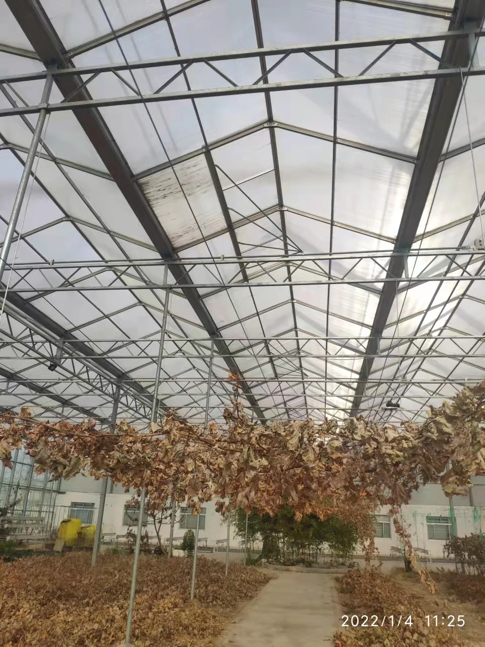 Large Automatic Intelligent Agricultural Glass Greenhouse with Soilless Culture Hydroponic Drip Irrigation System