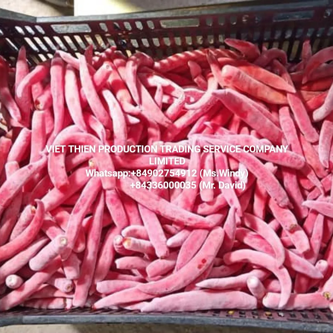 Frozen chili high quality from Vietnam cheap wholesale Chili red frozen Available in bulk