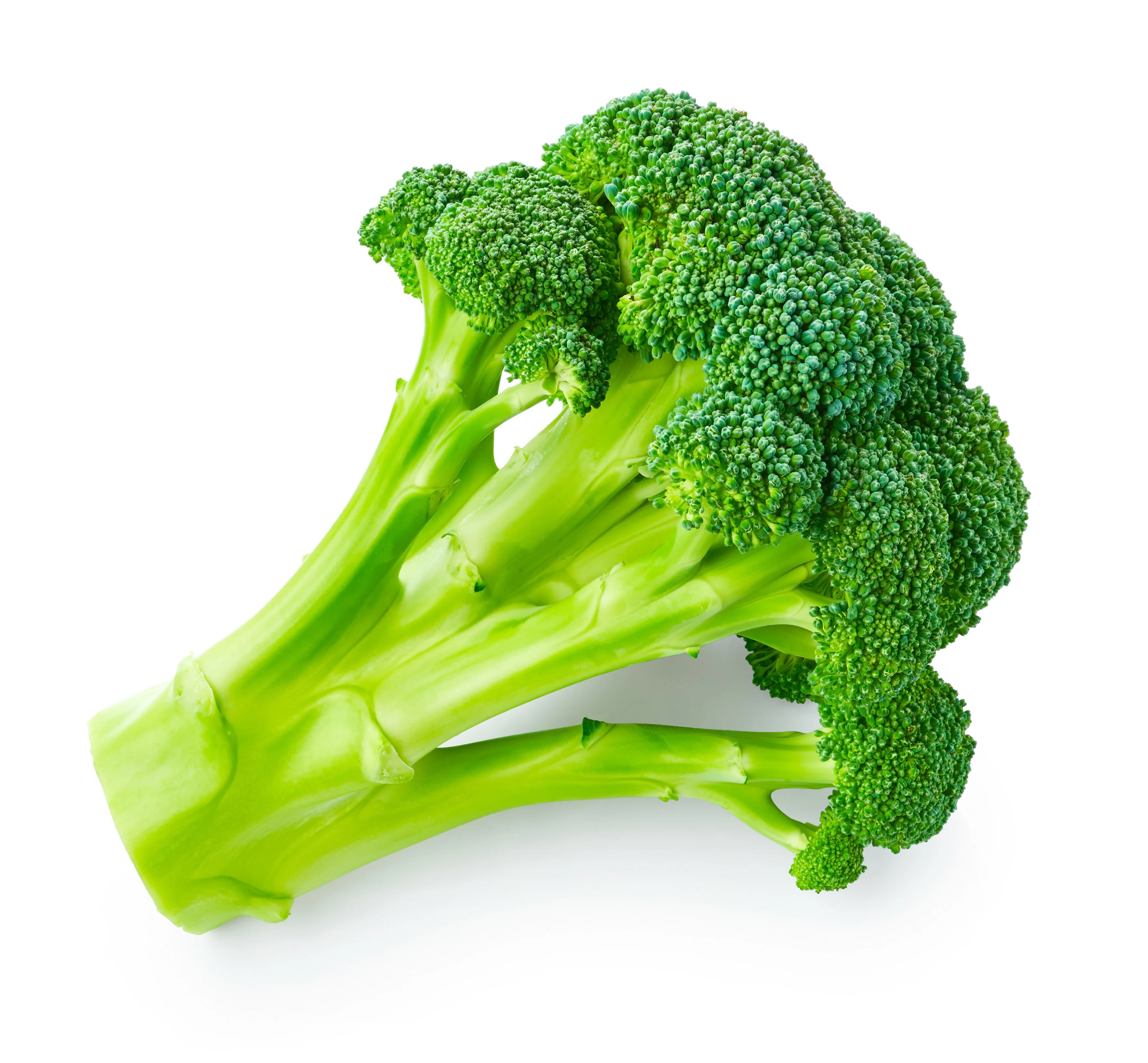 Wholesale High Quality Fresh Broccoli Vegetable Origin Turkey Fresh Broccoli