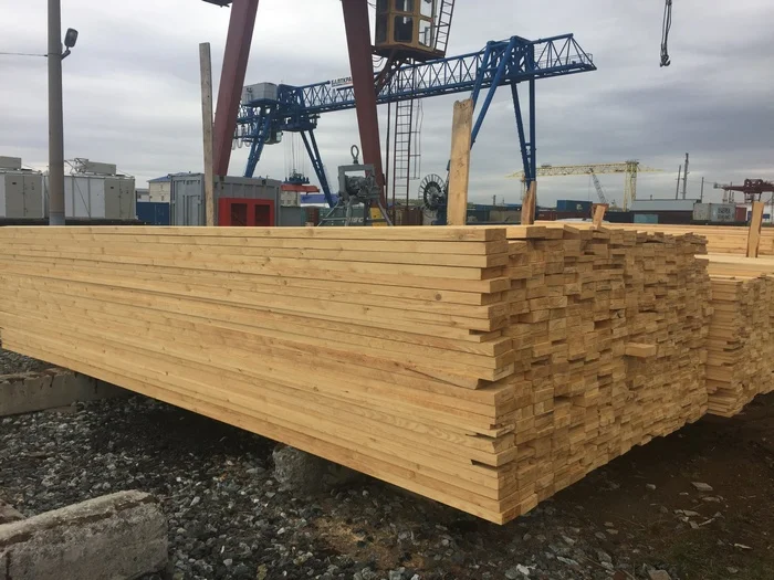 Pine Birch Aspen Lumber Wood Timber