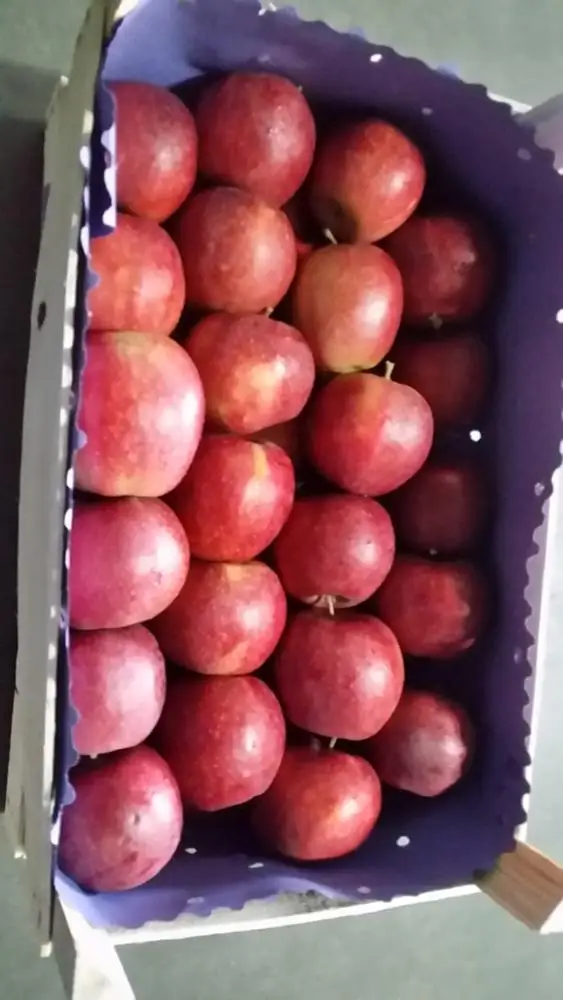 Fresh Apples RED JONAPRINCE