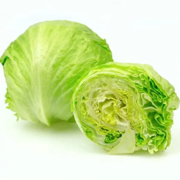 Wholesale Variety of Fresh Organic Vegetables