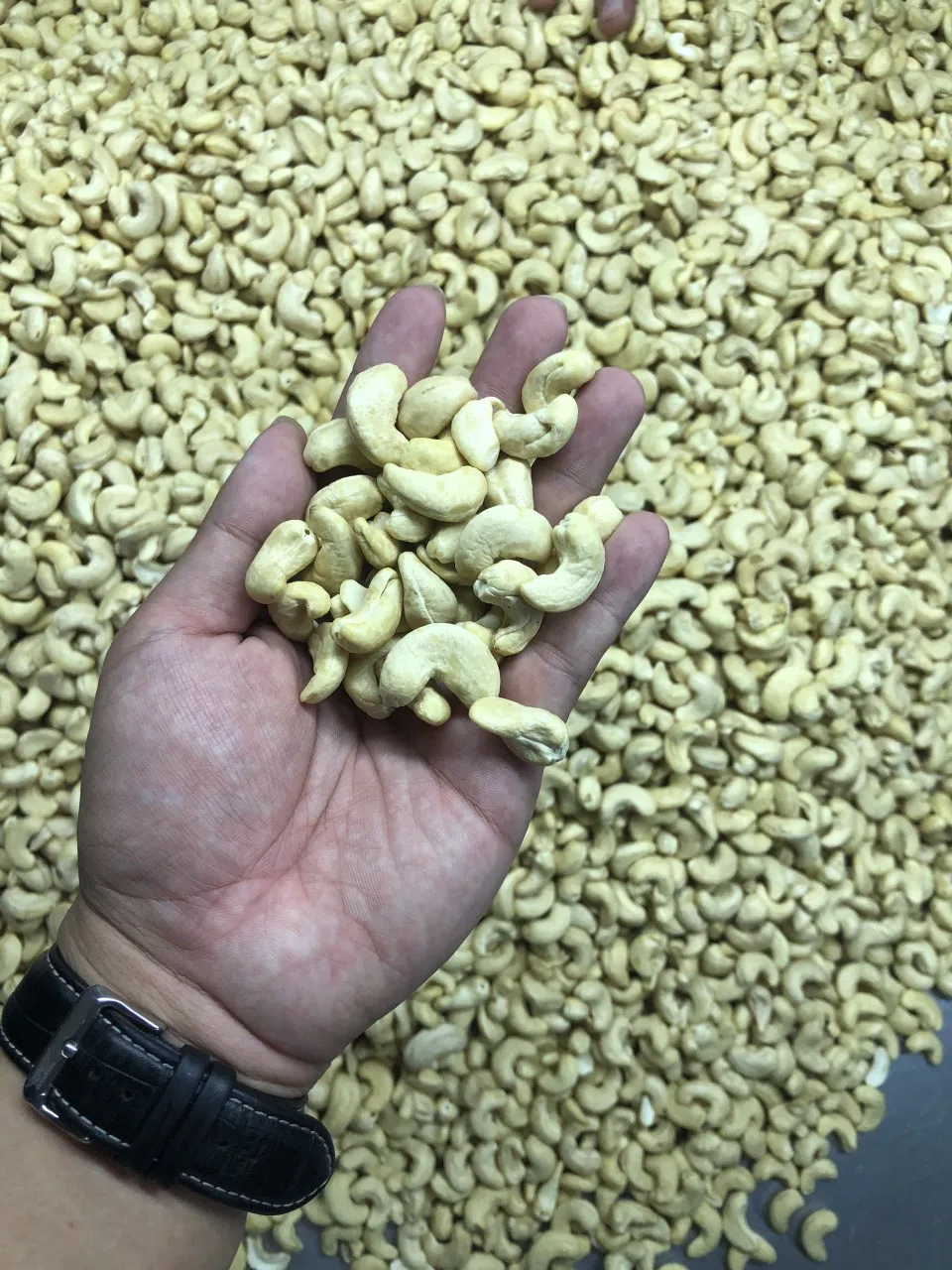 100% натуральный без добавок в продаже сушеный Кешью (сделано во Вьетнаме) ISO 9001:2008