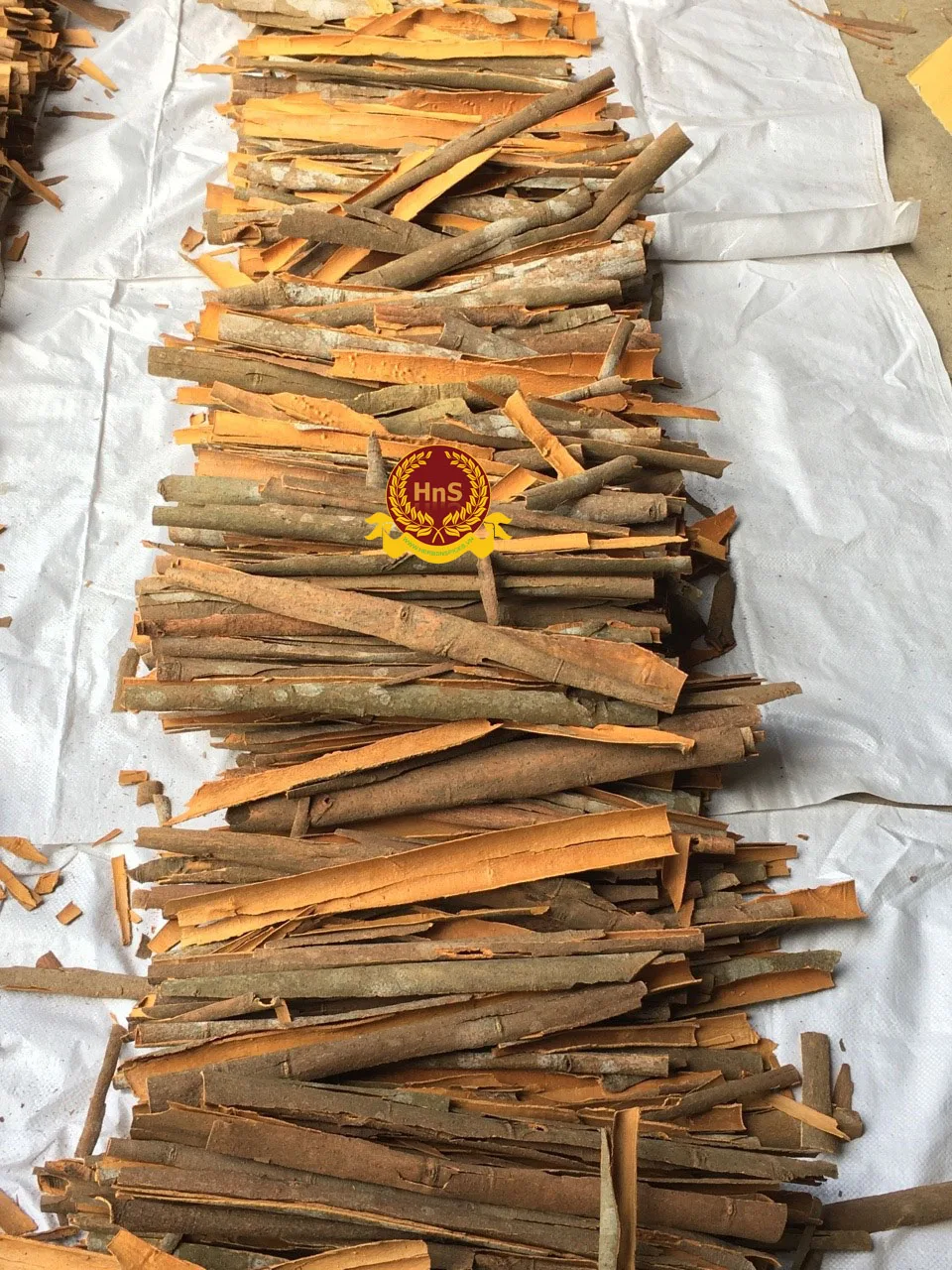 
Cassia Wholesale Cinnamon Cassia Low Price And High Quality High Oil Dried Cassia 