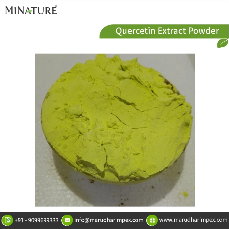 100% Pure  Bulk Supply Hot Selling Natural Quercetin Extract Powder from Trusted Indian Exporter