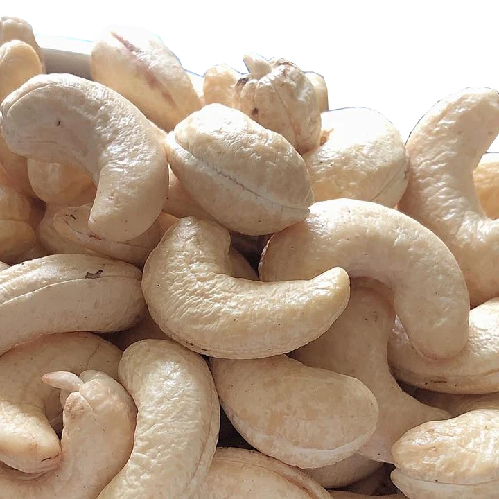 High Quality Cashew Nut W240Vietnam Export Standard Organic Cashew Nuts Products In Bulk Cashewnut Dried