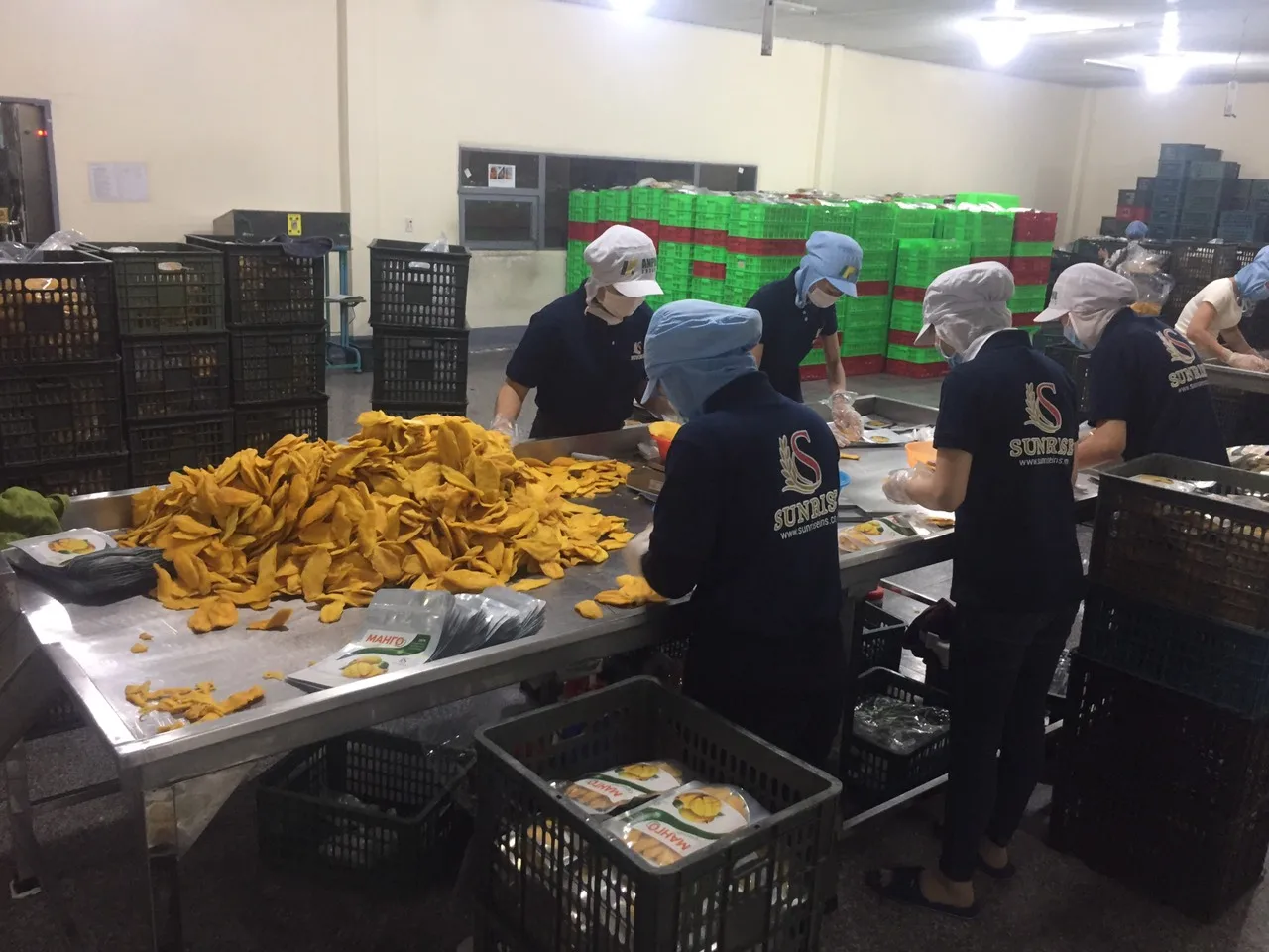 Wholesale Healthy Freeze Dried Mango Yellow Fruits Zip Packing for Export (Mobile/ WA: +84986778999 David)