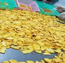 
Dried Jackfruit chips with High Quality and Best Price/ Jackfruit price (+84 983028718). 