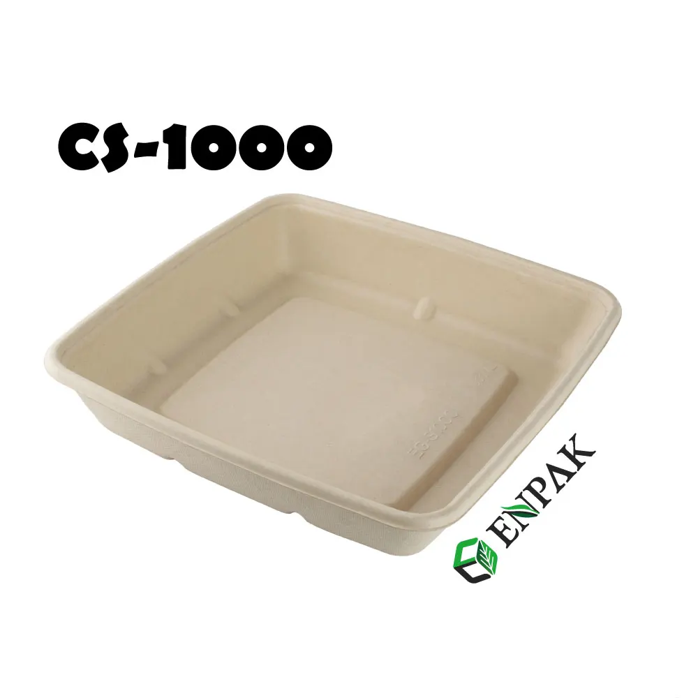 High Quality Takeaway Biodegradable Sugarcane bagasse food container