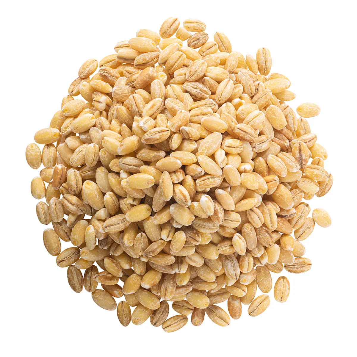 
Russian wholesale barley, cheap prices 