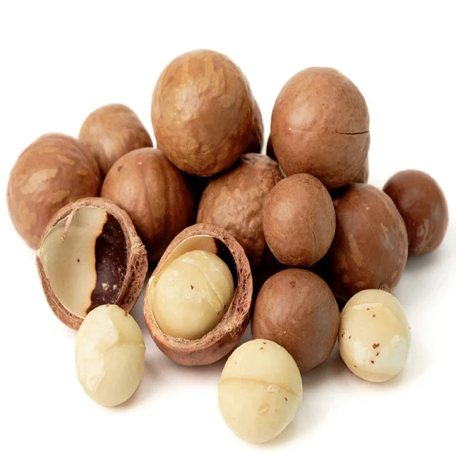 High quality Organic Macadamia Nuts /Macadamia Nuts Wholesale