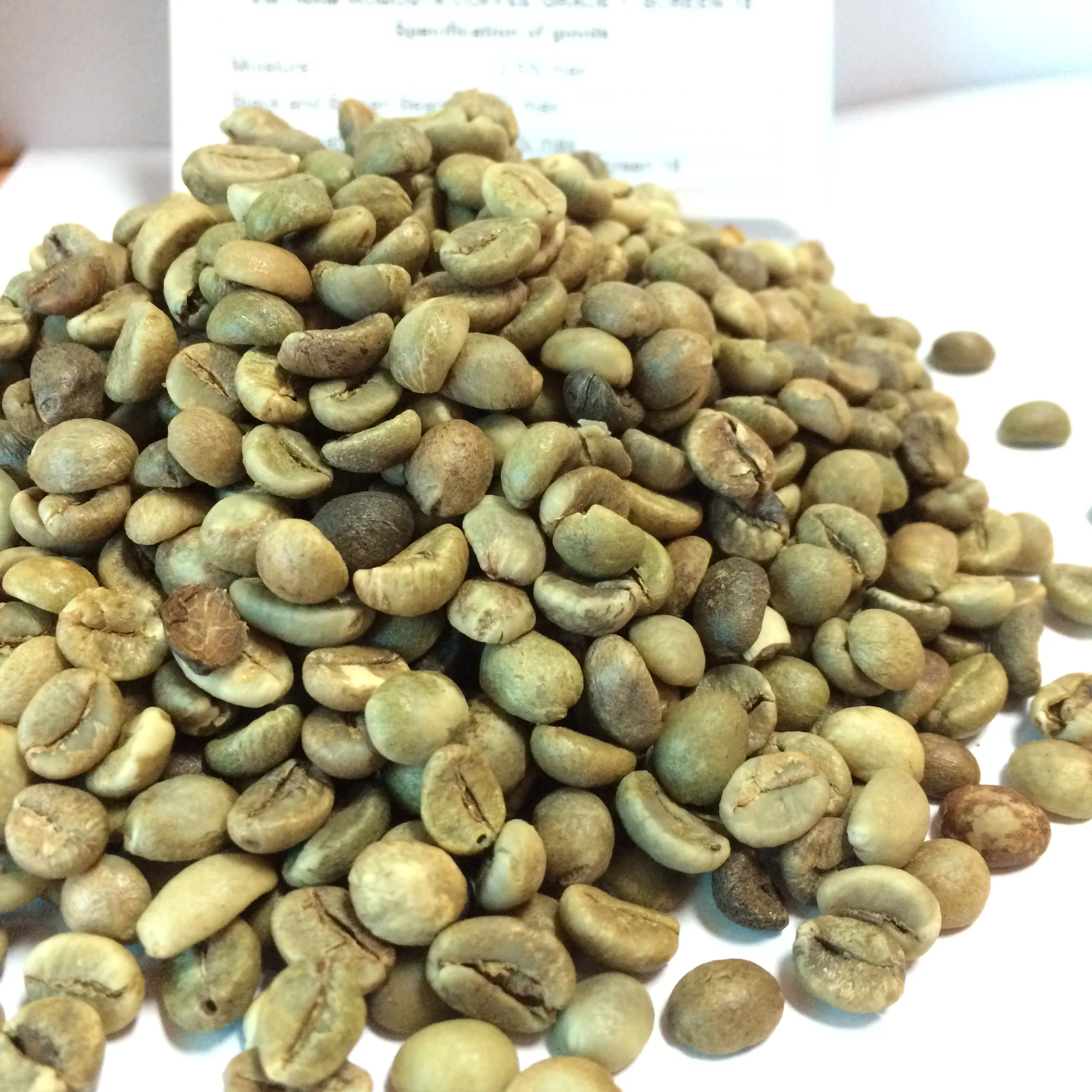 Viet Nam Coffee beans - ROBUSTA COFFEE Grade 1 Screen 18 Cleaned- Best Price from Song Hy Gia Lai