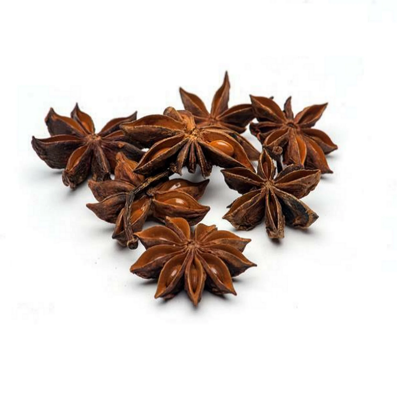 Star Anise Star Anise - Whole Dried Staranise Direct From Growing Area (HOUSE OF AGRO) Spices & Herbs Products