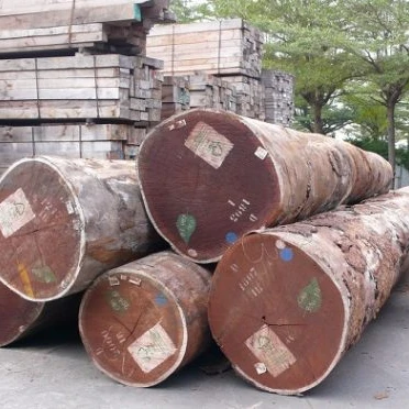 Teak Wood - Round Logs, Swan Timber Logs