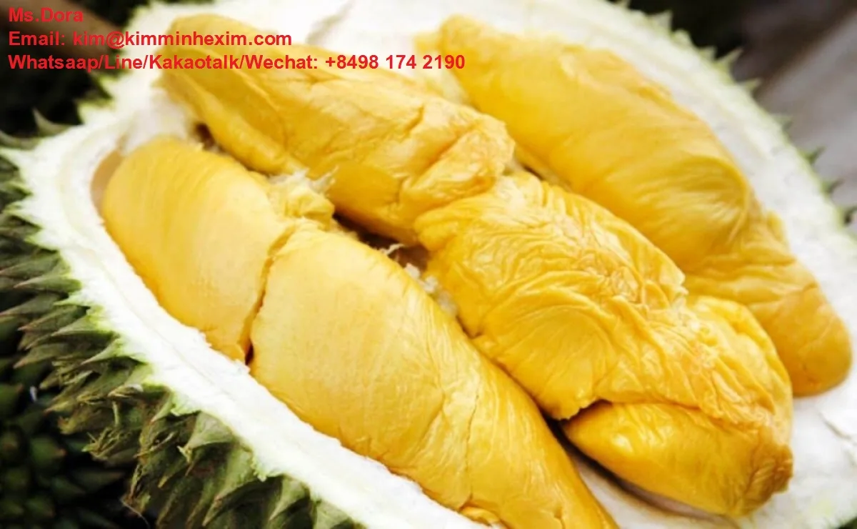 Top Selling 2022 HIGH QUALITY FRESH DURIAN FRUIT WITH COMPETITIVE PRICE FROM VIETNAM