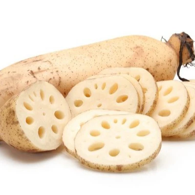 New Product- Lotus Root in Vietnam - Fresh Lotus Root - Good Price - Ms. Esther (WhatsApp: +84 963590549)