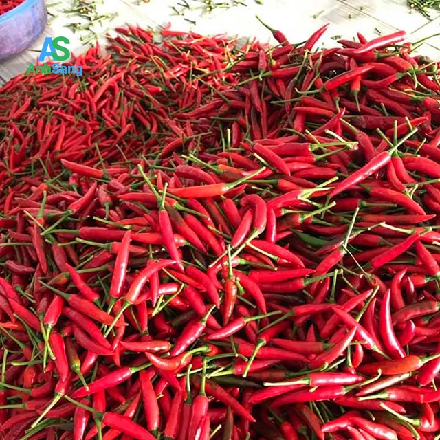 
Good Quality Fresh Chili Keep For A Long Time 