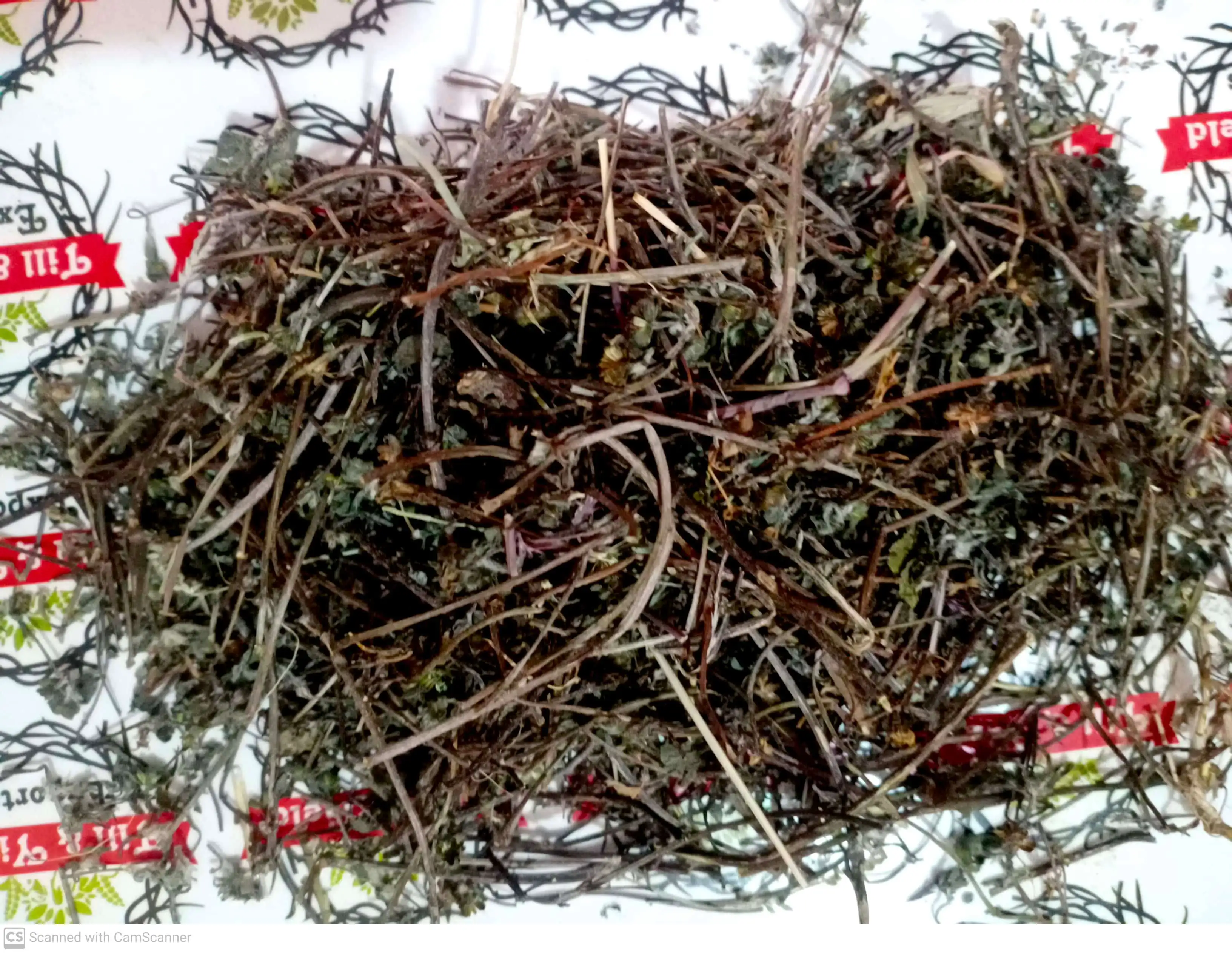 Bhringraj - Eclipta Prostrata - Oil  Prevents Hair Fall And Baldness Treats Dandruff And Dry Scalp