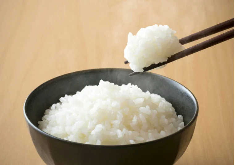 Vietnam Round Rice High Protein Japonica Rice Short Grain Hot sell Rice for Sushi