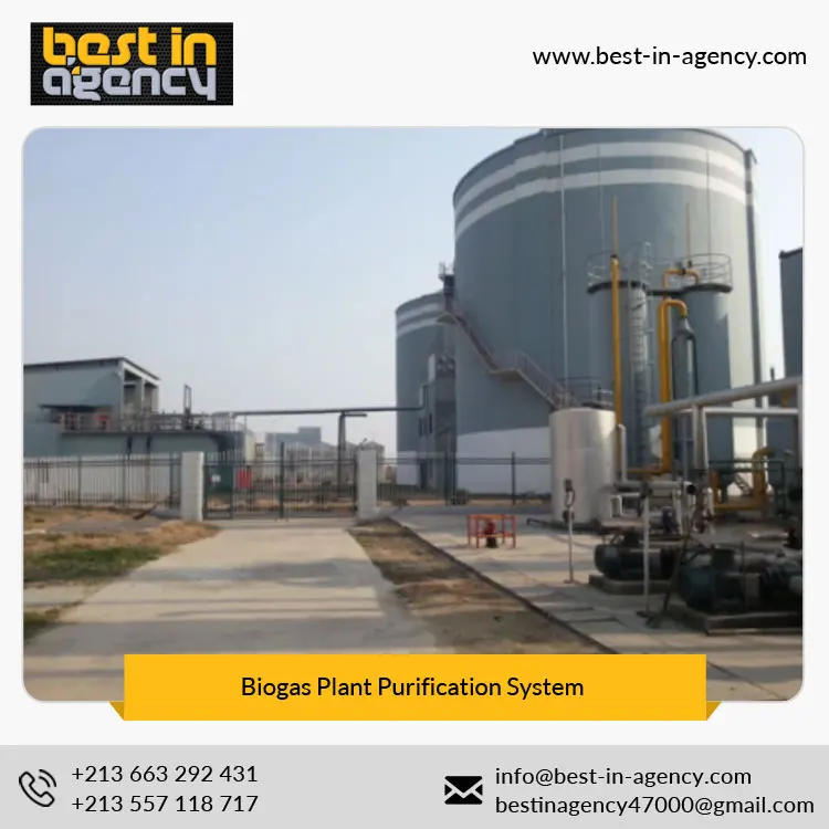 Dry and Wet Anaerobic Biogas-Nature Gas Conversion Plant Upgrading/Decarburization/Purification System