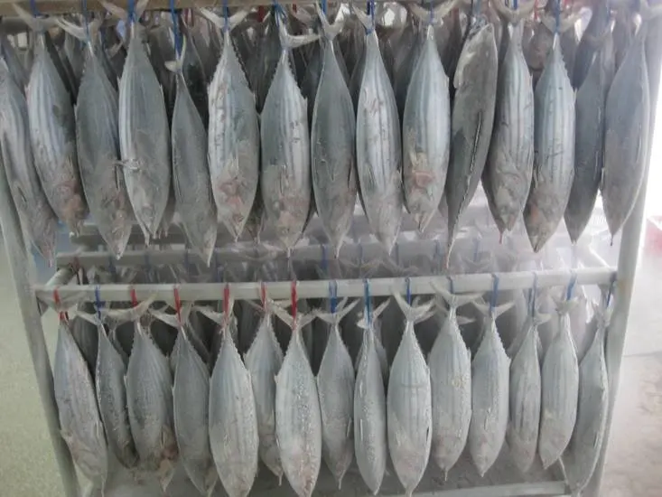 Wholesale Seafood Supplier Frozen Yellowfin Tuna For Sale In Cheap Price