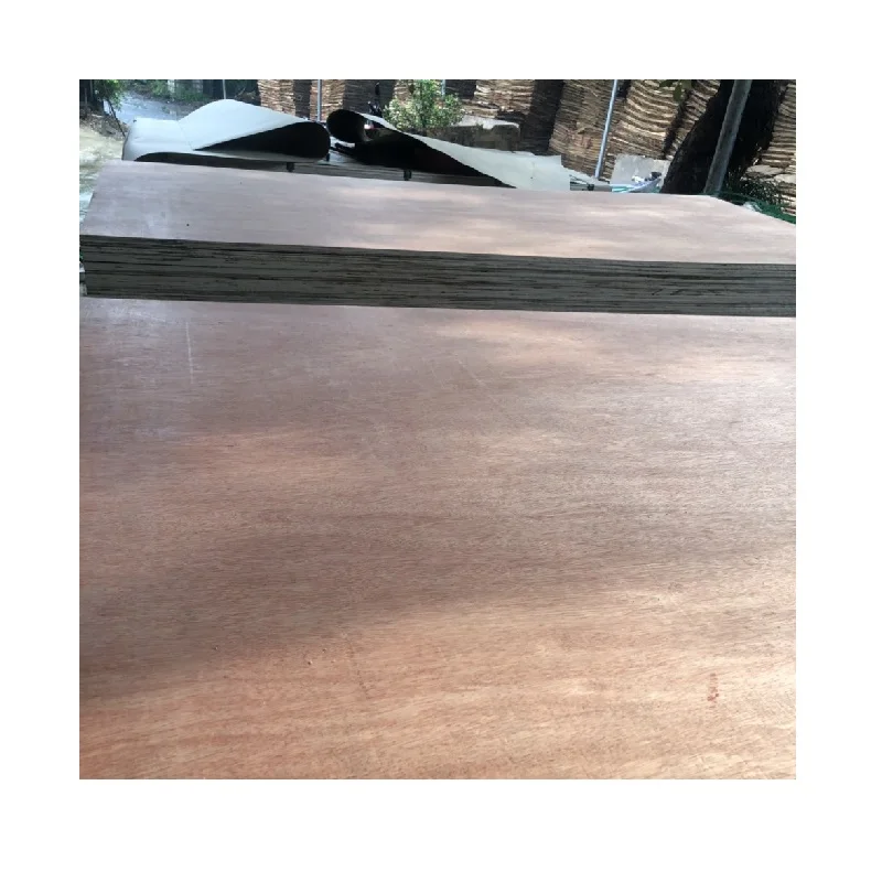 18mm Bintangor Plywood Commercial Plywood Cheap Plywood From Vietnam Manufacturer