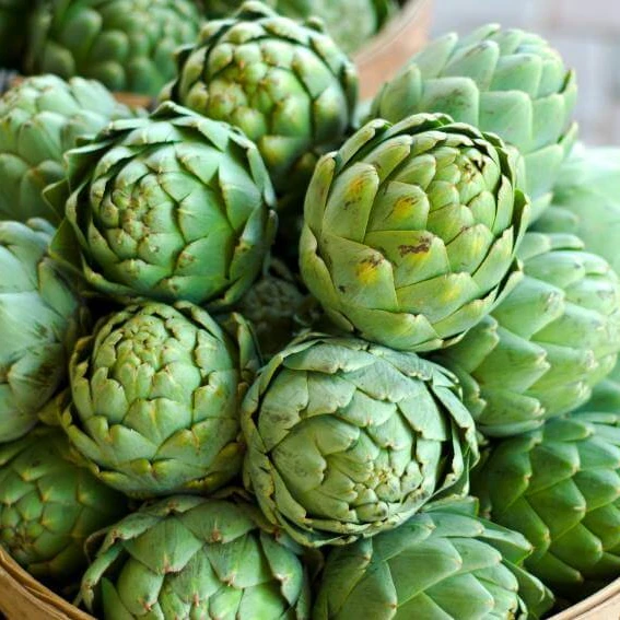 Pure Dried Artichoke Tea From Da Lat Viet Nam