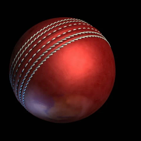 Hot Selling International Test Match cricket balls  with cheap prices