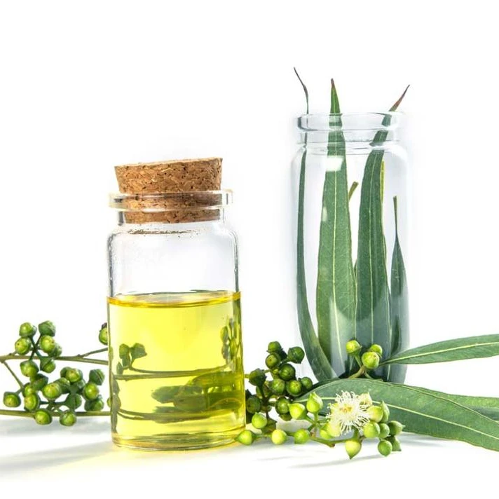 Pure Essential Eucalyptus Oil with high Cineol content