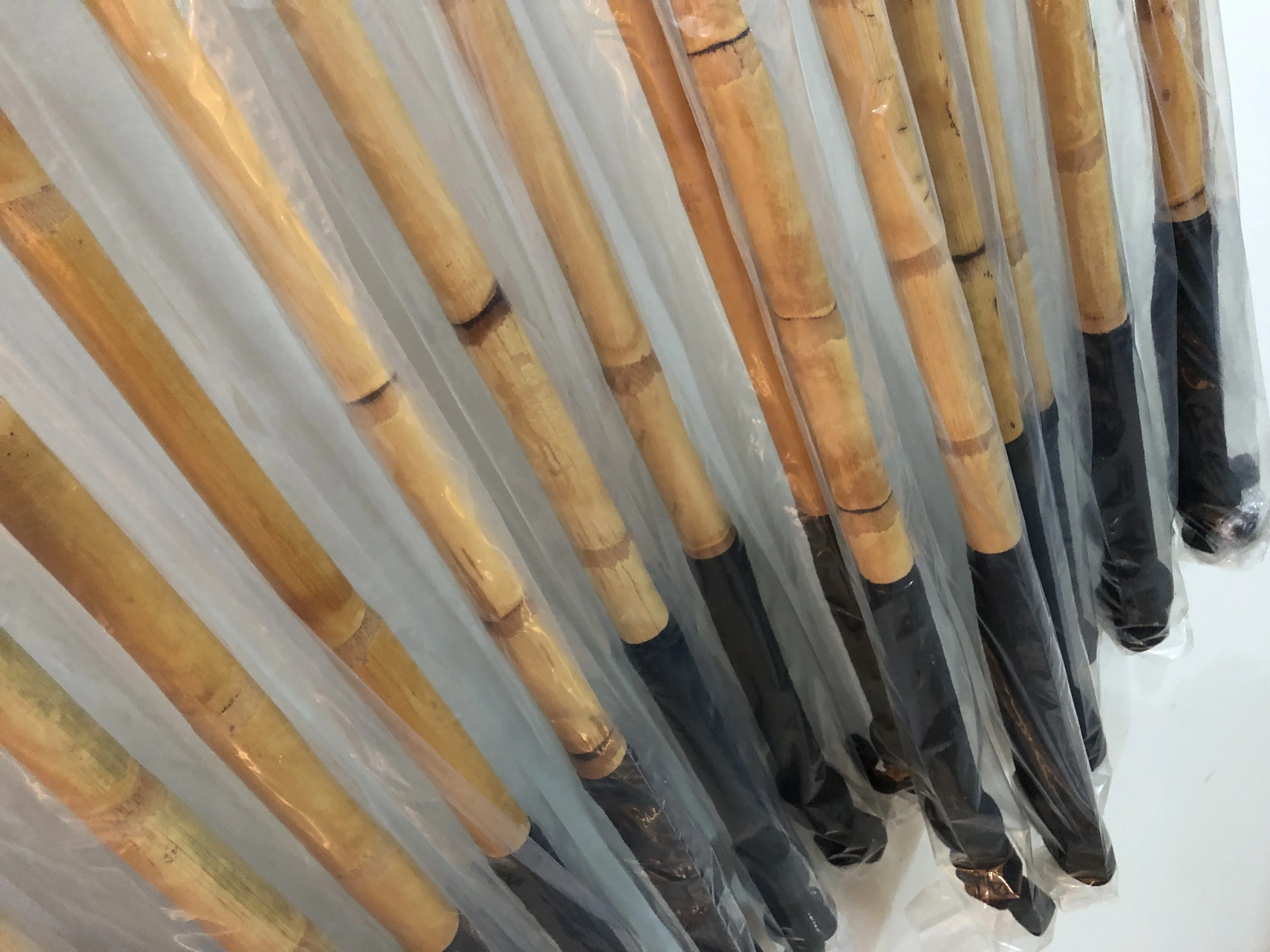 Geoffrey | Professional Version | Root Cane Polo Mallet Stick Tapered Shaft with 4/5 Knots