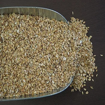 Dried Whole Rye Grain Rye Berries Style Organic Premium quality Rye grains for sale