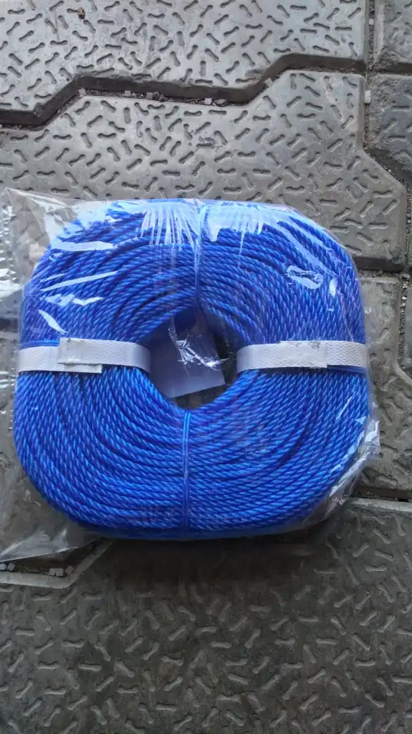 EU Standard Virgin PE/PP/HDPE/Nylon/Polyethelene/Plastic Safety Hollow Water Braided/Braid Ski Rope