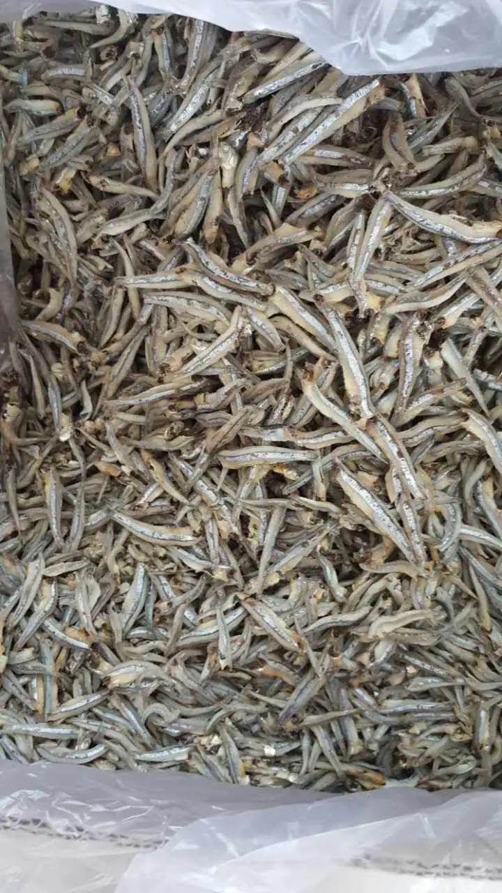 DRIED ANCHOVY FOR SALE