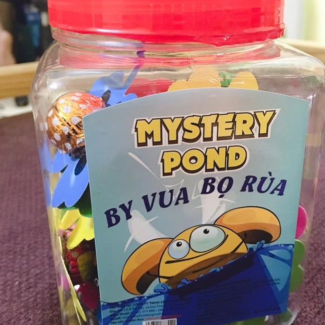 Special Offer Factory Price Vietnam Manufacture Lady Beetle King Chocolate 180g