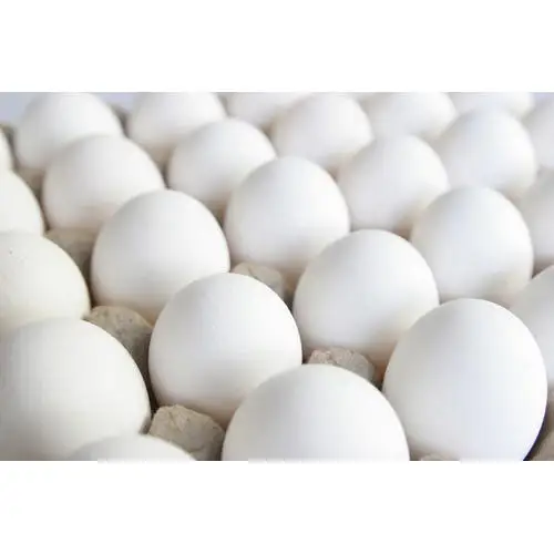 Poultry Eggs - Fresh White Eggs