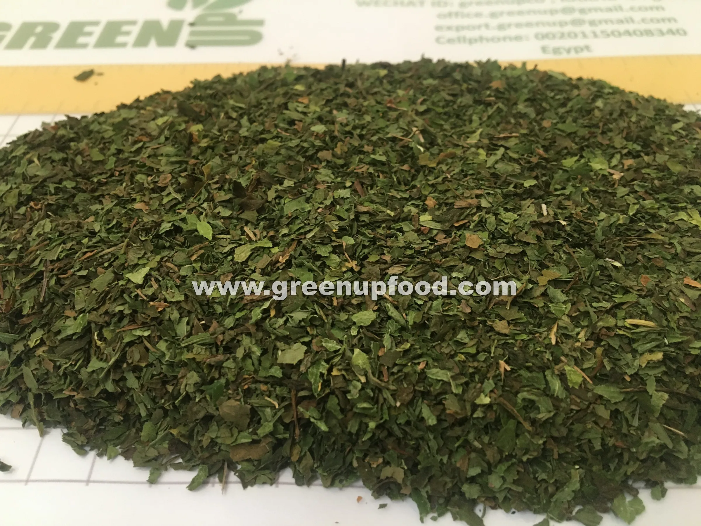 spearmint  leaves green color no ash content no admixture no black leaves  no impurities fresh crops Menthae piperitae