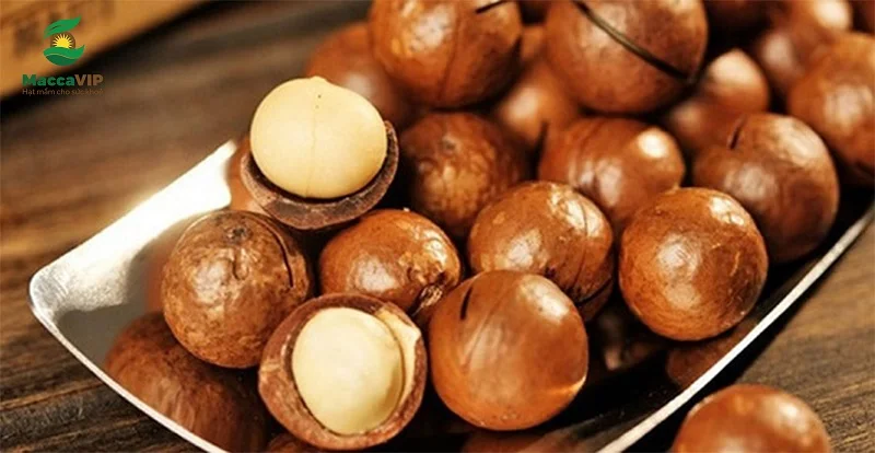 Высококачественный необработанный орех макадамия гавайский от оптом вьетнамский Мария