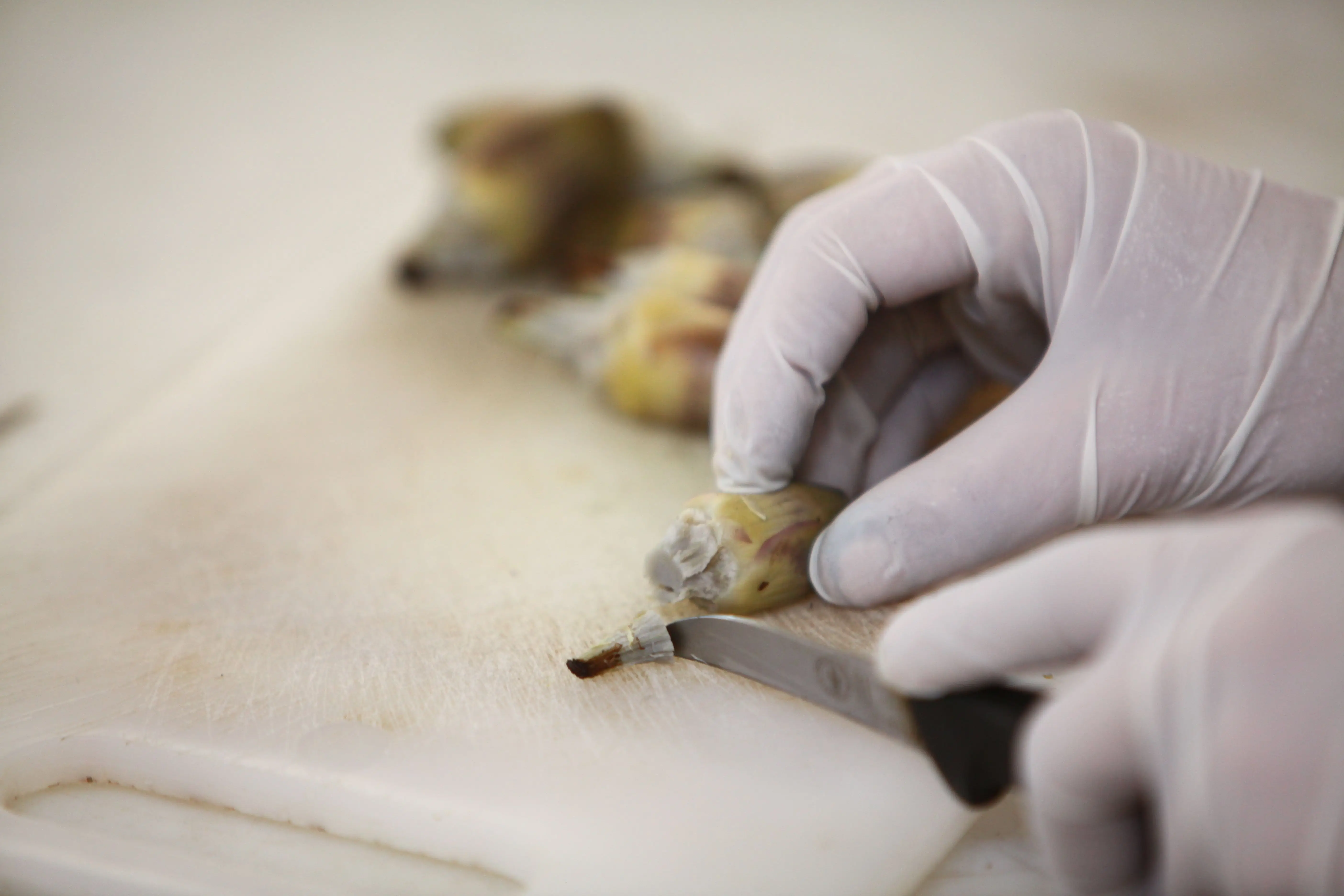 
Peasant style small artichokes - Made in Italy - Gourmet gift idea - Gluten Free - Vegan food - Azienda Agricola Barbuscia 