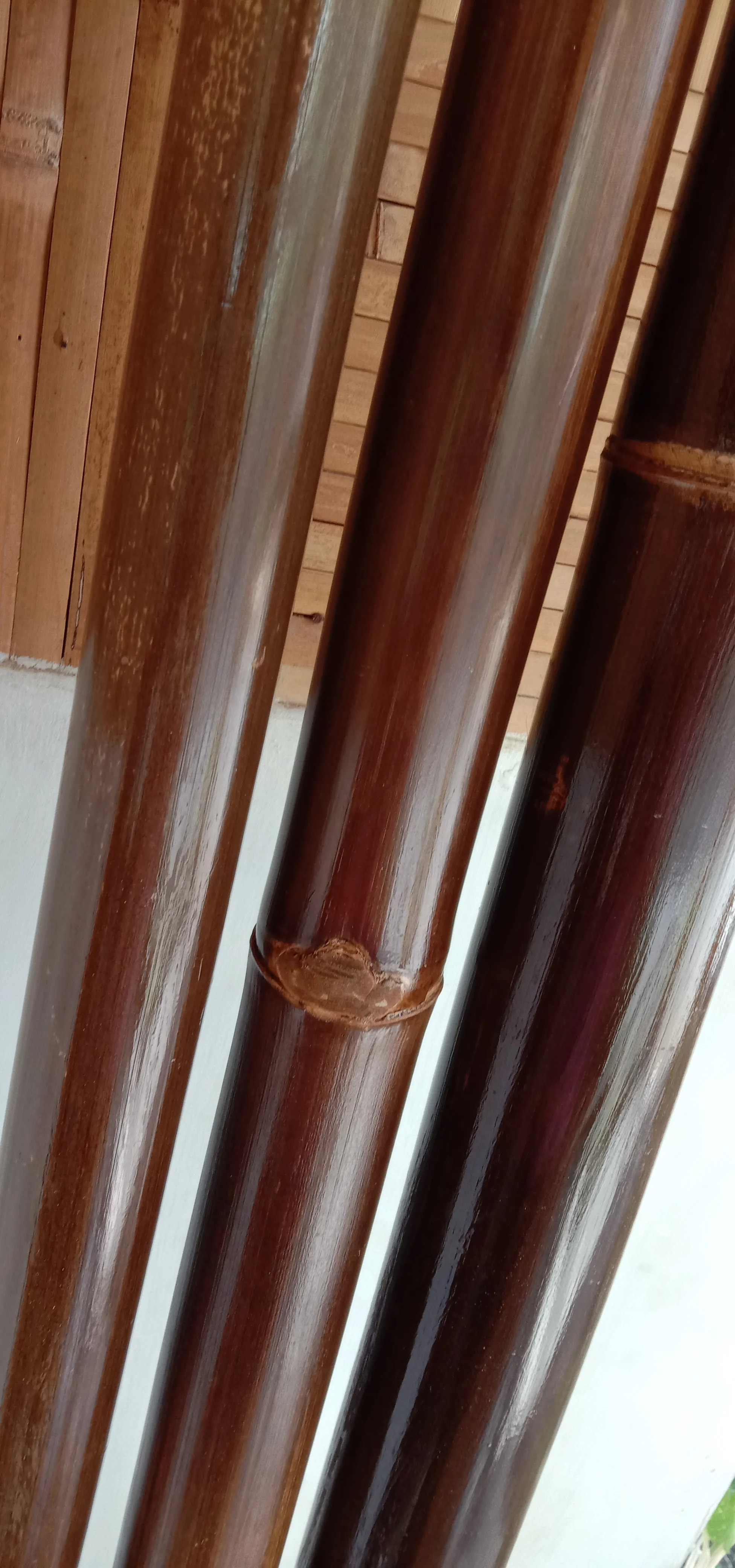 Высококачественный тропический черный бамбук из Индонезии, обработанный для строительства, 600 см